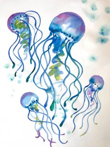 Jellyfish Illustrations