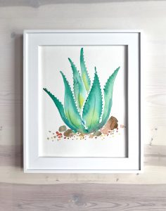 Aloe Succulent Watercolor
