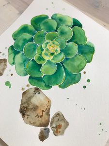 Succulent Watercolor