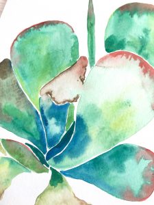 Succulent Watercolor